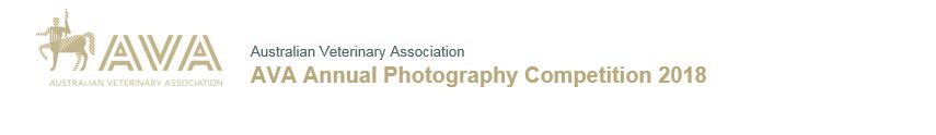 AVA Annual Photography Competition 2018