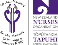 Indigenous Nurses Aotearoa Conference 2019