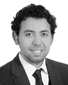 Dr. Mohammed Mohsen Abdelfattah
