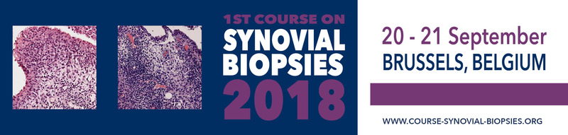 Course on Synovial Biopsies