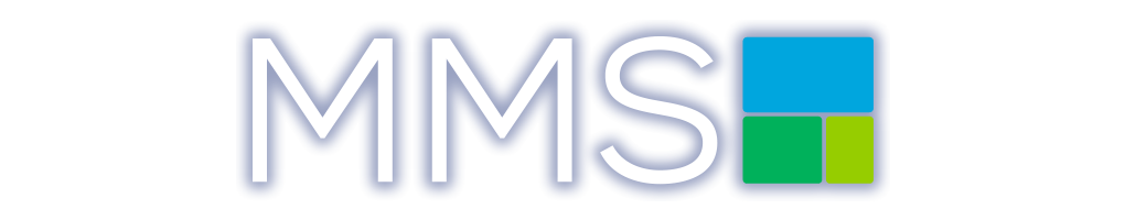 MMS Programmatic 2017