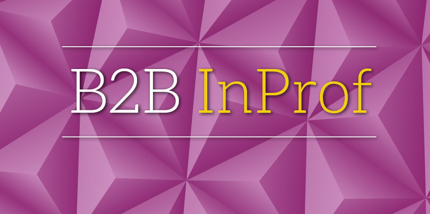 B2B Marketing InProf 2016