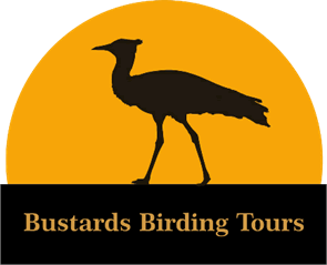 Bustards Birding Tours