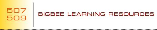 Bigbee Learning Resources logo