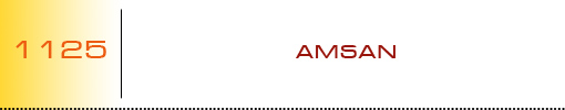 AMSAN logo