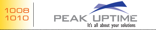 Peak Uptime logo