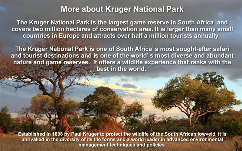The 2018 ICRPMC conference will be held at the Skukuza Camp in Kruger National Park, South Africa