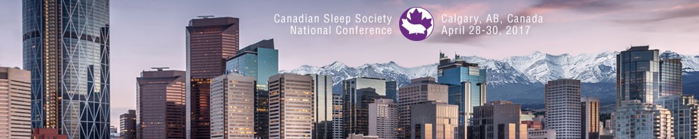 2017 CSS Conference