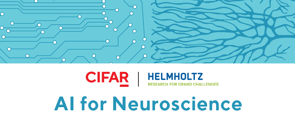 CIFAR-Helmholtz: AI for Neuroscience Workshop