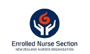 2020 Enrolled Nurse Section Conference