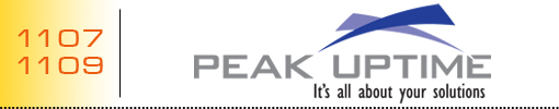 Peak Uptime logo