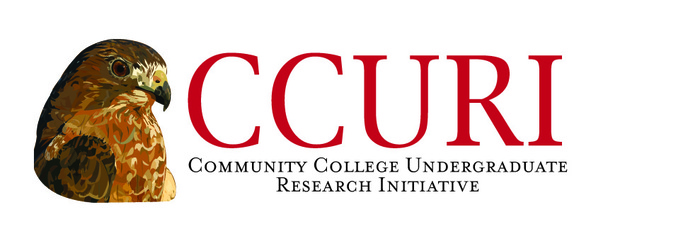 CCURI Active Learning Workshop