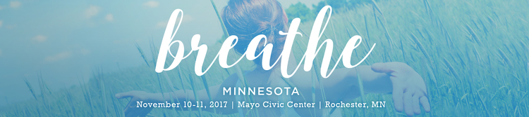 2017 Minnesota Conference 