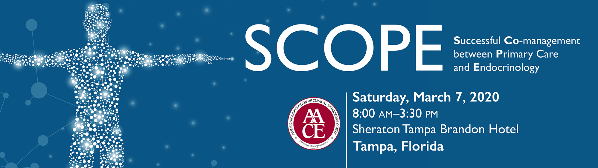 SCOPE: Successful CO-Management between Primary Care and Endocrinology (TAMPA)