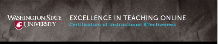 Excellence in Teaching Online 2015+