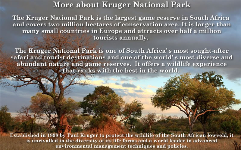 Raptor Research Foundation will hold the 2018 meeting in Kruger National Park